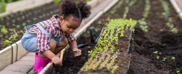Little girl with vegetable plants farming and gardening concept. Daughter planting vegetable in...