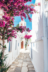 Fototapeta na wymiar Streets of village of Pyrgos with Cycladic houses and the Bougainvillea flowers tree on Tinos island, Cyclades, Greece