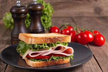Close-up photo of an American club sandwich. Fast food concept. 
