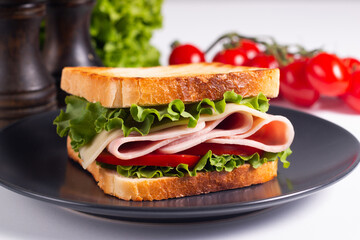 Close-up photo of an American club sandwich. Fast food concept. 