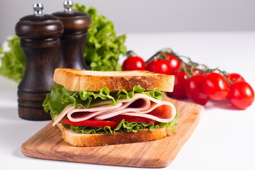 Close-up photo of an American club sandwich. Fast food concept. 