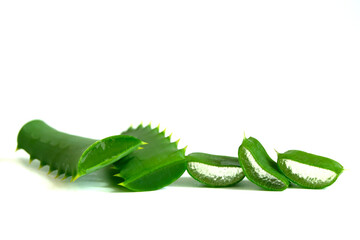Aloe vera slice on white background.herb for treatment and skincare in spa and beauty.
