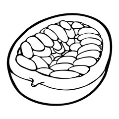 Half maracuya with seed. Vector engraving. Isolated on white background