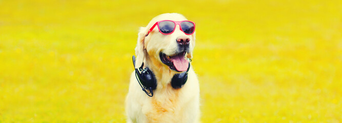 Portrait of Golden Retriever dog with headphones listens to music in red sunglasses on autumn park...