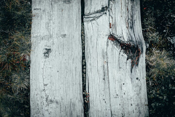 old wooden fence
