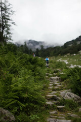 Fototapeta premium hiking in the mountains