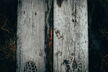 old wood texture
