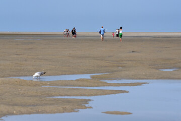 Sandstrand bei Ebbe in Renesse, Niederlande