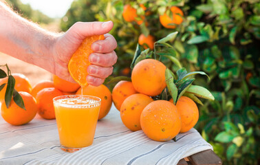 male hand squeezes juice from half orange into glass on table in garden