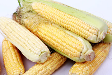 ears of corn in the studio