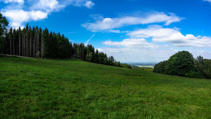 Górska łąka, góry, las