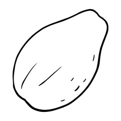 Fototapeta premium Whole papaya. Vector vintage engraving black. Isolated on white