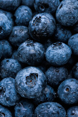 freshly picked washed blueberry background. Macro. vertical