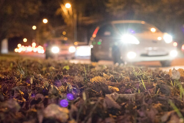 Fallen autumn leaves on the sidewalk, car headlights on the background, bokeh from the headlights,...