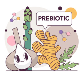 Prebiotic products. Healthy food as a source of good degestive