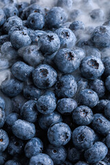 freshly picked washed blueberry background with frosty haze between berries. Macro. vertical, top view