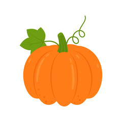 Ripe orange pumpkin isolated on white background. Cucurbita pepo. Fall harvest gourds. Healthy organic food concept. Vector vegetables illustration in flat style.