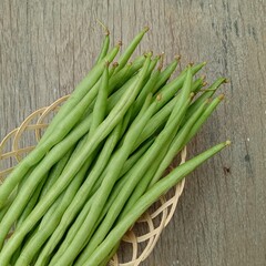 fresh green beans