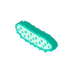 gherkin gherkin isometric icon vector. gherkin gherkin sign. isolated symbol illustration