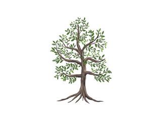 tree and roots vector hand drawing