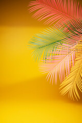Palm leaf on a yellow background. - Summer concept..