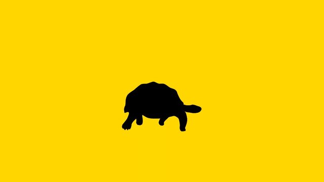 Walking turtle, animation on the yellow background (seamless loop)