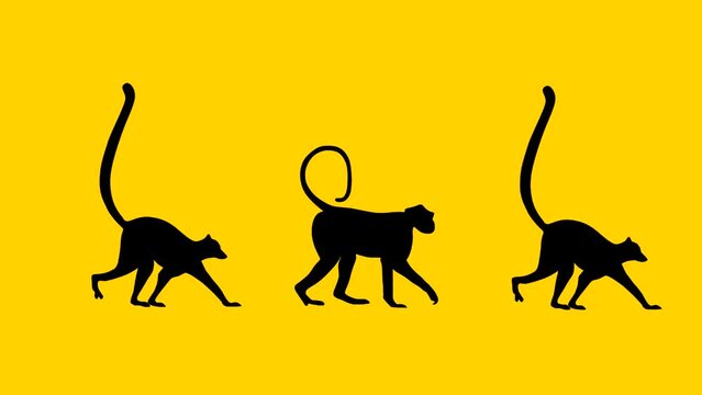 Walking lemurs and monkey, animation on the yellow background (seamless loop)