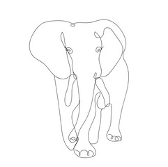 continuous line drawing of an elephant
