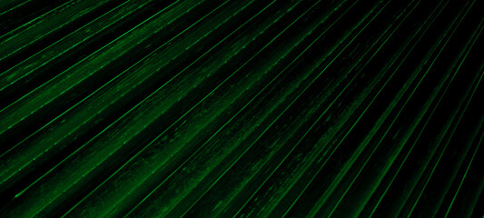 Obraz premium green background