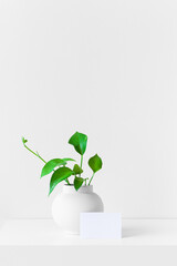 Modern summer still life photo. White ball shaped vase with green branch. White table and orang pastel wall background. Empty copy space. Elegant lifestyle indoor scene