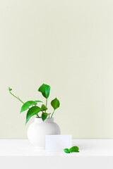 Modern summer still life photo. White ball shaped vase with green branch. White table and green pastel wall background. Empty copy space. Elegant lifestyle indoor scene