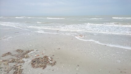 Beach of Sanibal Island on a windy day in spring