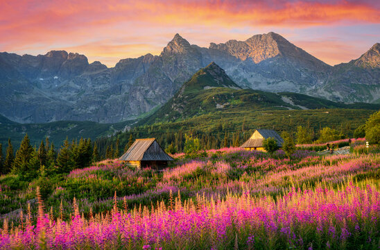 Beautiful summer sunrise in the mountains - Hala Gasienicowa in Poland - Tatras