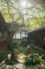 京都 十輪寺の美しい和の庭園