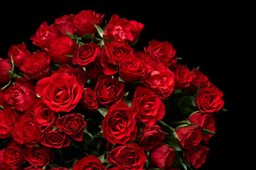 Bouquet of red roses isolated on black background