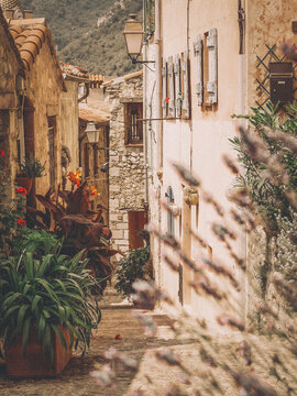 Fototapeta Medieval Streets with plants of the Old Town (St Agnes), Provence-Alpes-Côte d'Azur, France