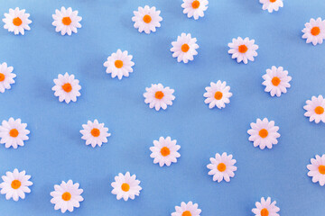 Patrón de margaritas. Prado de margaritas. Margaritas con fondo celeste. Textura de flores.