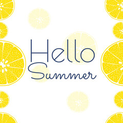 00087 Hello Summer. Vector calligraphy. Design for cards, T shirts, labels, posters. Isolated vector illustration seamless on white background.