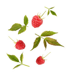 Flying raspberry with green leaves isolated on white background. Raspberry collection with clipping path
