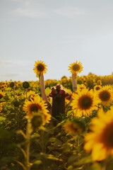 Young beautiful woman with curlers on her hair in a field of sunflowers. Fashion.