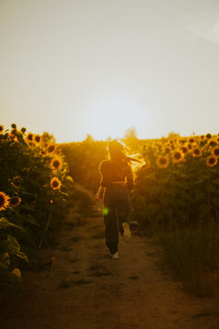 Young beautiful woman with curlers on her hair in a field of sunflowers. Fashion.