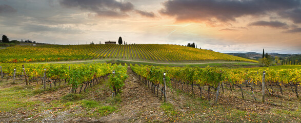 Autumn season. Spectacular vineyards in Tuscan countryside at sunset with cloudy sky in Italy.