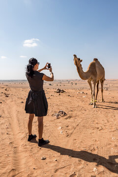 Woman taking photographs of a camel in the desert