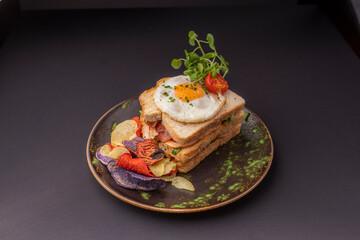 luxury sandwich with a fried egg, chicken breast and various vegetables