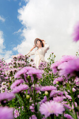 Margaret flower field and woman,Portrait of teenage girl in a garden of flowers, Young happy asian girl in Margaret Aster flowers field in garden at Chiang Mai 