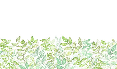 Seamless watercolor border with green leaves on bottom. Illustration for packaging design, invitations, greeting cards, wedding cards.