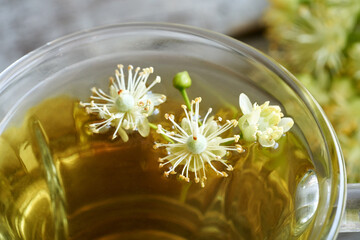Fresh lime tree blossoms in a cup of linden flower tea