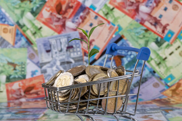 A young sprout of a plant grows from a shopping cart filled with Kazakhstani coins against the background of Kazakhstani banknotes - tenge