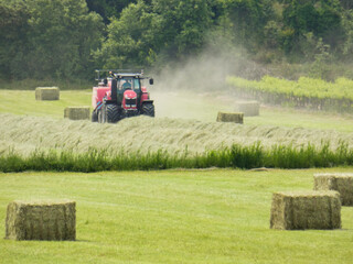 Fototapeta premium Tractor picking up freshly cut herbaceous plants to make hay bales in a meadow in the Alpilles in Provence in France 