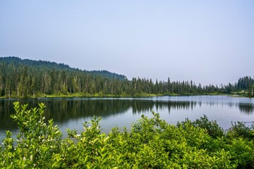 An overlooking landscape view of Mt Rainer NP, Washington